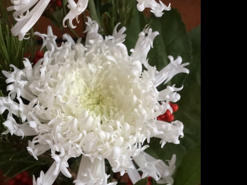 両国 錦糸町の 手ぶらで 正月花を生ける 墨田区 By 新井 悠月 ストアカ