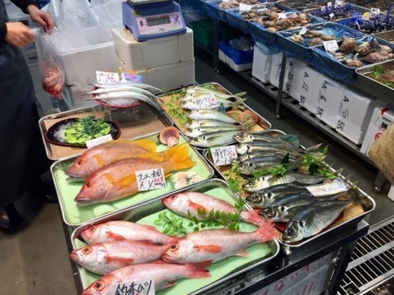 川崎 武蔵小杉の 豊洲 仲卸フロアでお買い物 川崎市内で魚さばき 寿司にぎり教室 By 鹿野 哲郎 ストアカ