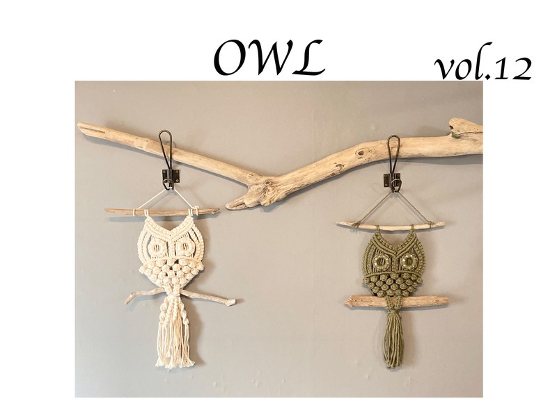 NO.400『マクラメ編み・ふくろう・タペストリー』 フクロウのマクラメタペストリー プレゼント 壁 飾り | iichi