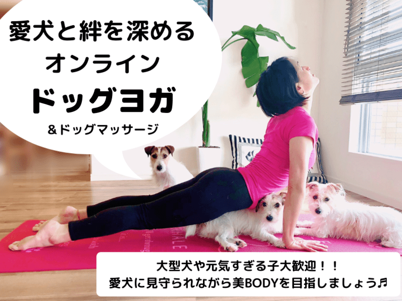 愛犬と絆を深めるオンラインドッグヨガの画像