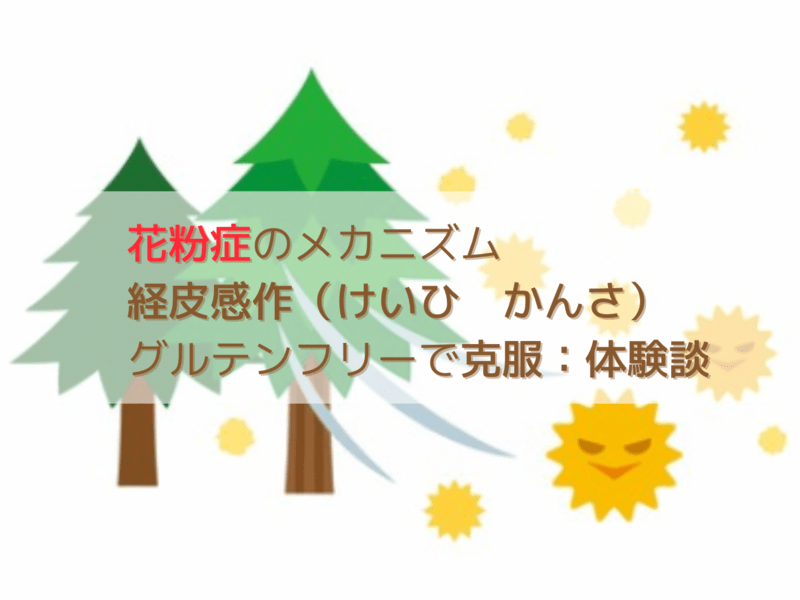 花粉症対策の落とし穴（そもそも花粉は悪者じゃない）経皮感作とは？の画像