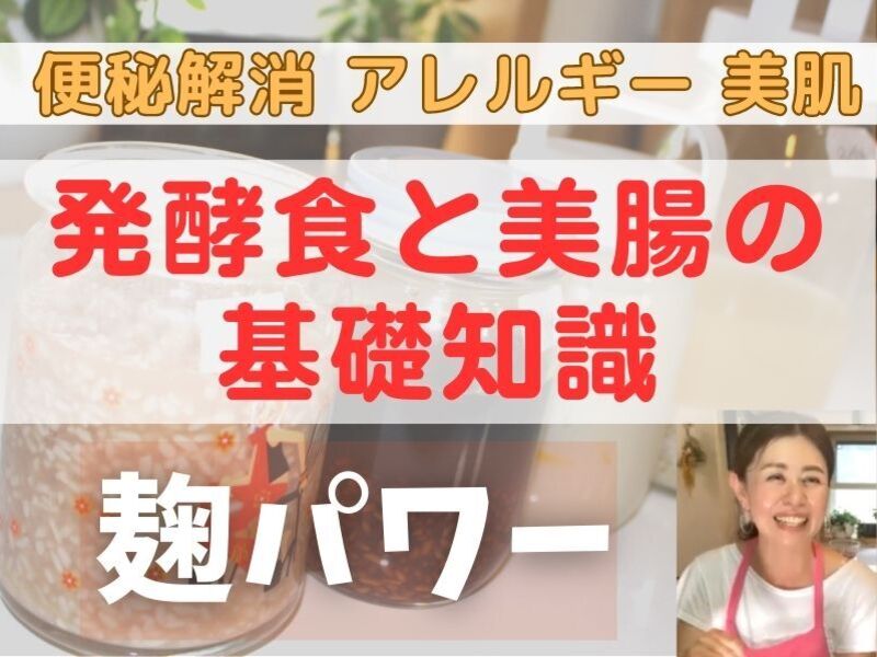 発酵食と美腸の基礎知識【便秘解消・アレルギー改善・美肌】健康家族の画像