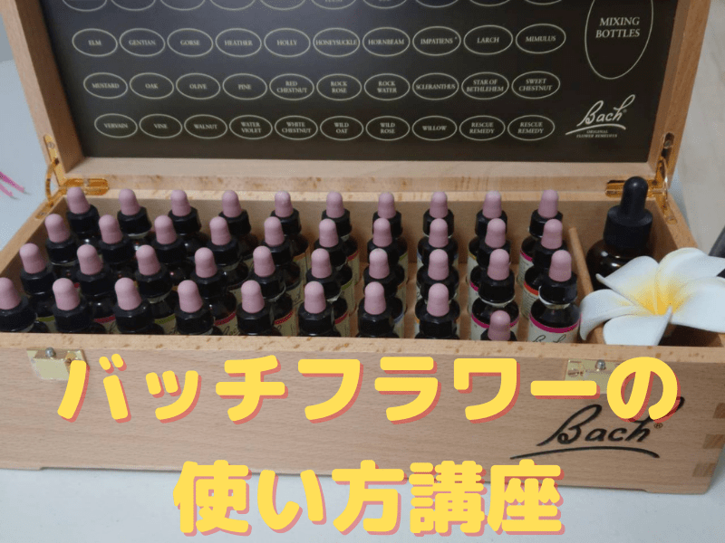 🔰超初心者】バッチフラワーをカウンセリングに使う方法を学ぼう
