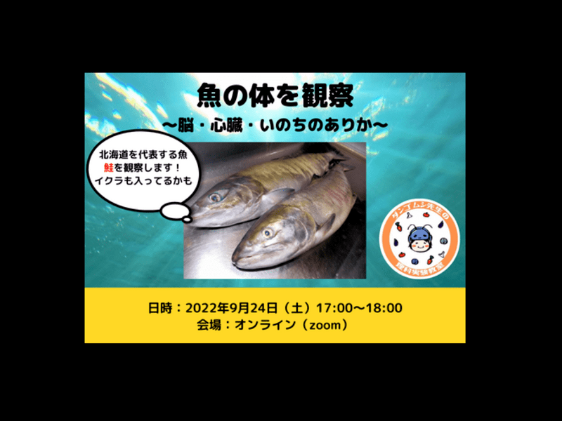 オンライン講座 魚の体を観察しよう 脳 心臓 いのちのありか By 佐藤 ちひろ ストアカ
