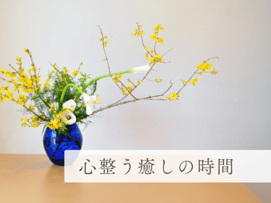 初心者/花に癒される華道 草月流いけばな都立大学教室 【女性限定