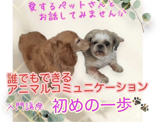 アニマルコミュニケーション ペット動物と楽しく愉快に暮らすには 元祖