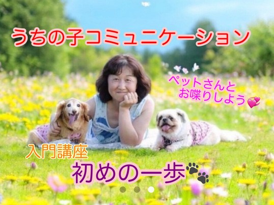 ペットさんと心を繋ぐアニマルコミュニケーション•オンラインレッスン