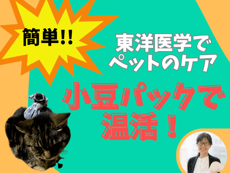 【犬・ペットケア】🐶東洋医学でペットのセルフケア〜小豆パック温活😸の画像