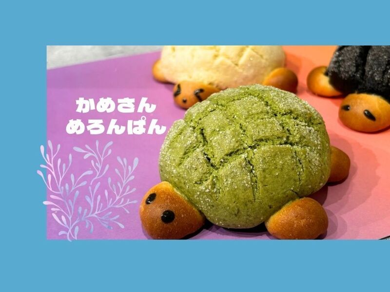 2時間で作る🐢かめさんめろんぱん🐢 / アドスマイル nagiko