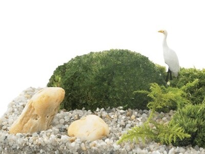 メーカーによる苔講座】苔でつくる小さな癒しのお庭『苔テラリウム