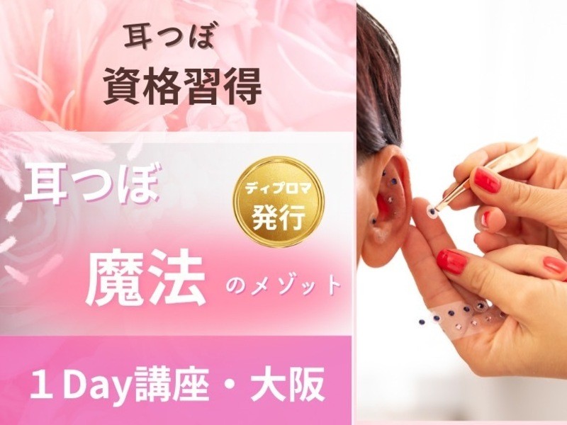 耳ツボジュエリー 資格 大阪 耳つぼスタートキッド付き / 起業の