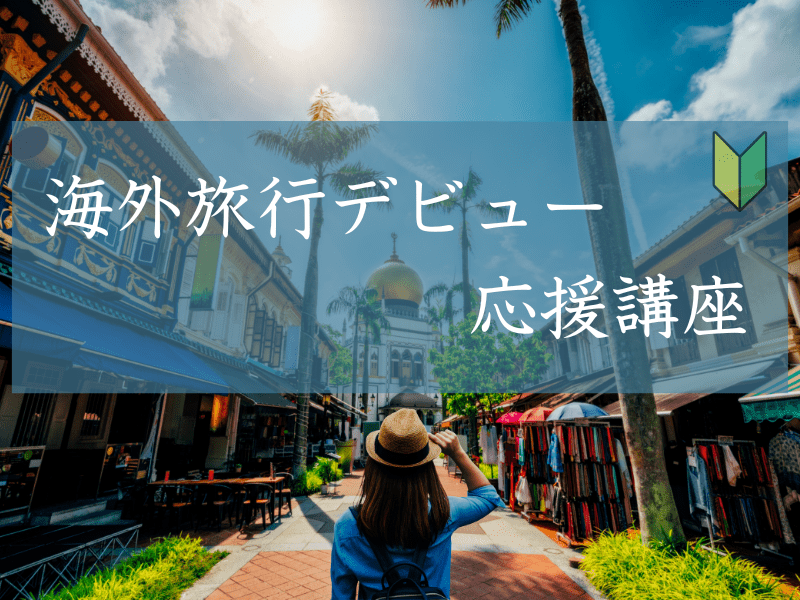 【中古】 旅のネタホームページ３００ インターネット（得）海外旅行術 アメリカ編/オデッセウス/ｅトラベラーズ 旅のネタホームページ205 インターネット（得）海外旅行術8