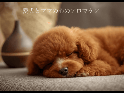 寒河江市】愛犬とママの心のアロマケアサポート / 山川 裕子