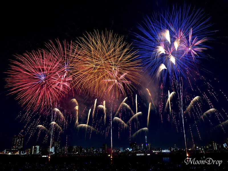 高円寺 荻窪の お写べりレッスン 花火撮影入門編 打上げ花火をきれいに撮ろう By 三本 尚実 ストアカ