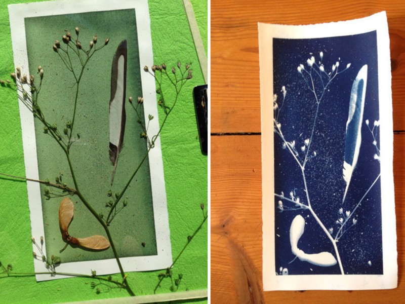 京都駅周辺の 古典技法 サイアノタイプ 日光写真 体験コース By 溝縁 真子 ストアカ