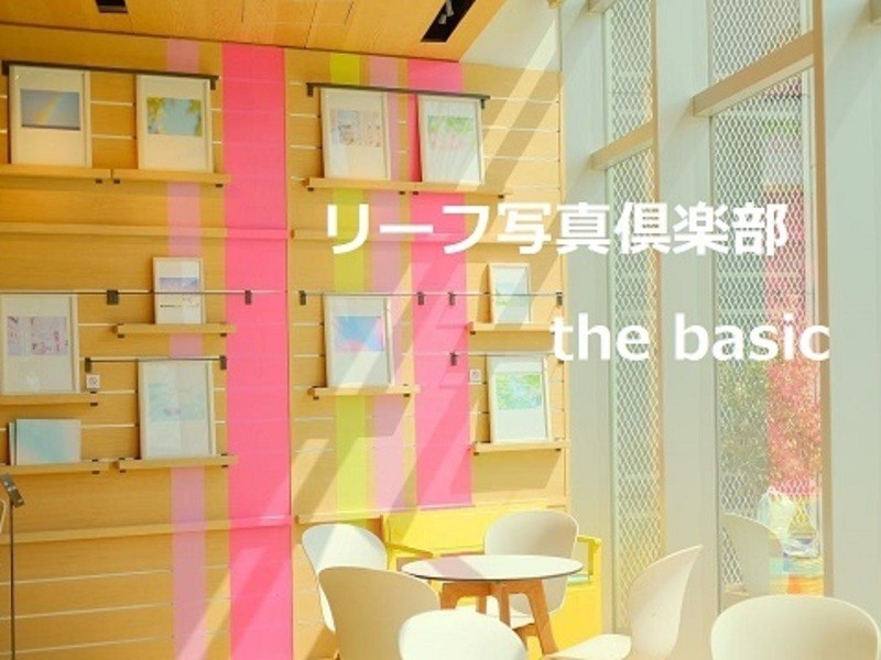 リーフ写真倶楽部 the basicの画像