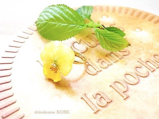 西宮 芦屋の 人気急上昇のレジンフラワーアクセサリー 花の指輪を1dayで作ろう By おがわ ひろこ ストアカ