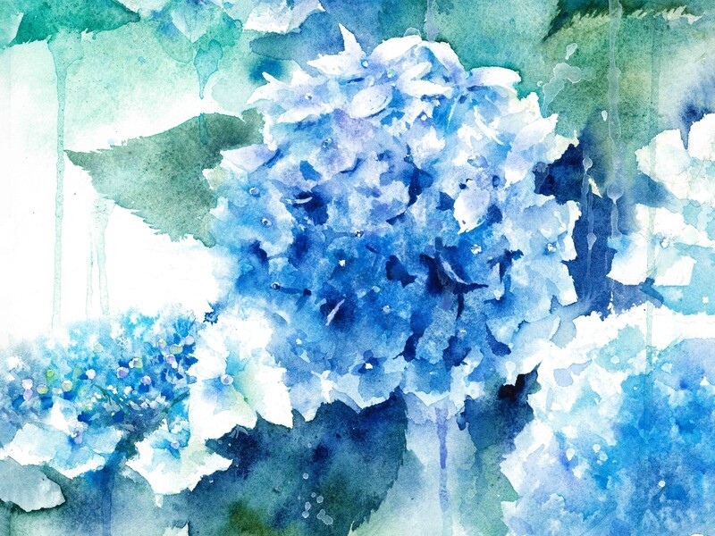 class101 doop先生　水彩キット class101 doop先生 水彩キット