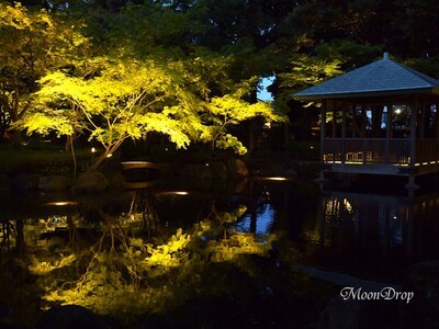 thumb_6f51fa18-9835-4dfe-a151-