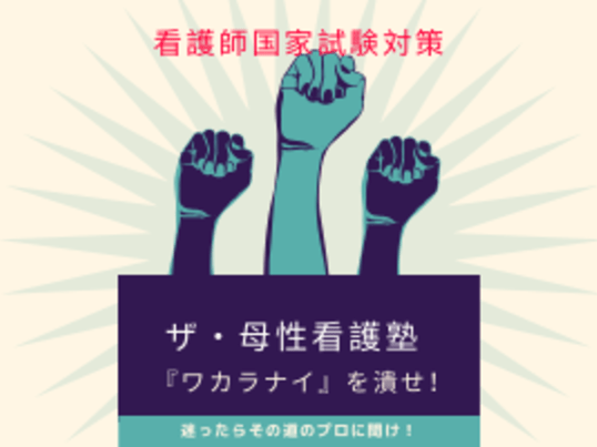 六本松 七隈の 看護学生必見 国試対策ザ 母性看護塾 ワカラナイ を潰せ By 秋元 恵美 ストアカ