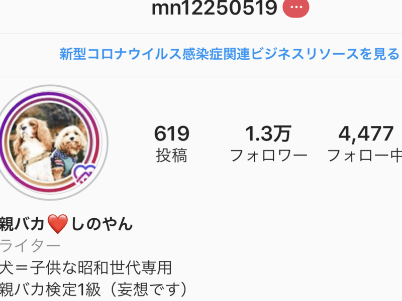 オンライン講座 可愛いワンちゃんネコちゃんをインスタグラムで発信しよう By 篠谷 直子 ストアカ