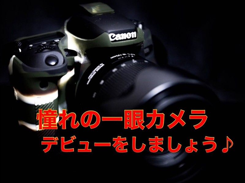 浦安 市川の 憧れの一眼カメラを始めたい カメラとレンズの選び方入門 By 岡田 祐一 ストアカ