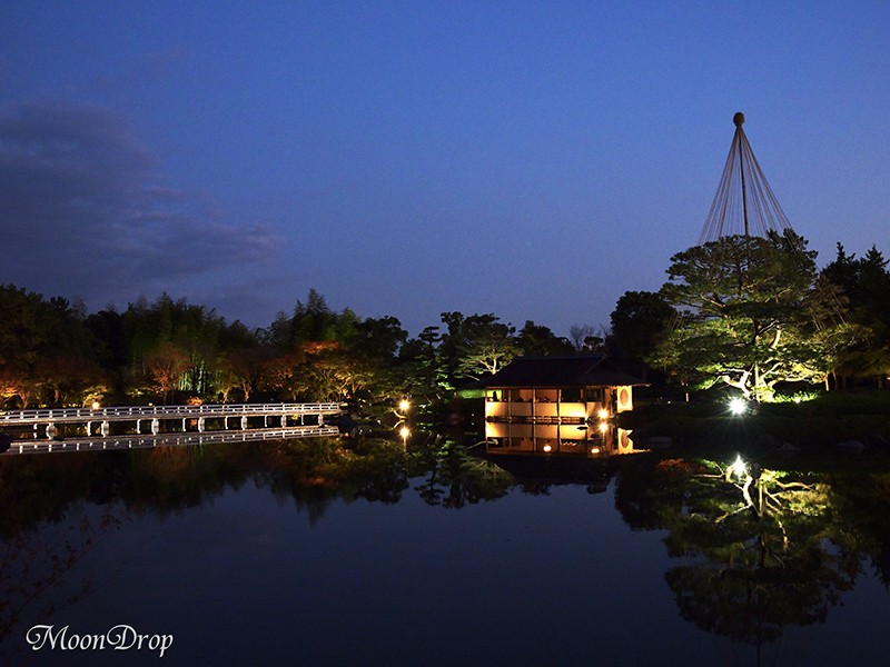 立川 八王子の 夜写ん歩レッスン 華やかな昭和記念公園黄葉紅葉ライトアップを撮ろう By 三本 尚実 ストアカ