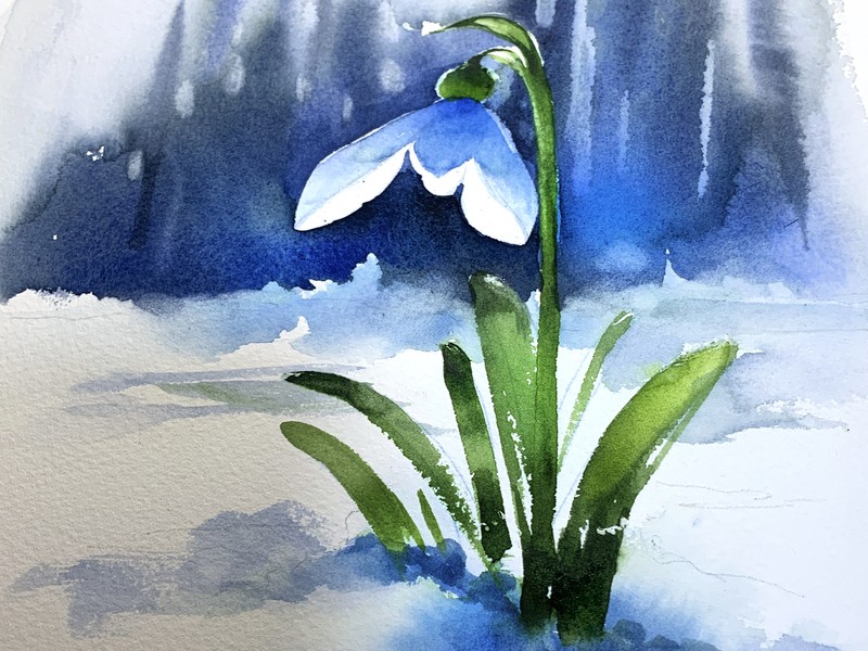 💖イラストレーターと描くセンスアップ水彩画💖花を描くオンライン講座