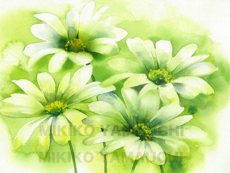 💖イラストレーターと描くセンスアップ水彩画💖花を描くオンライン講座