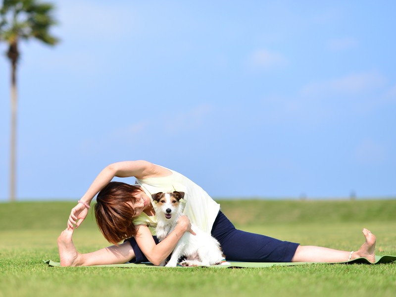 愛犬と絆を深めるオンラインドッグヨガの画像