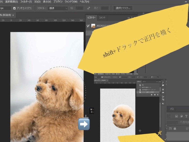 Webデザイン初心者向けphotoshopで巧みに切り抜く方法4選の画像