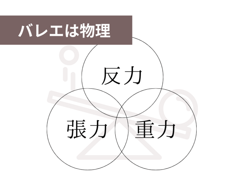 【バレエ理論】究極の身体の使い方（バレエ指導者向け）の画像