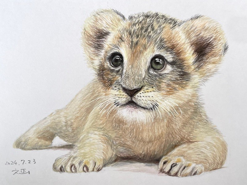 オンライン・2時間で描ける！色鉛筆だけで超リアルな絵 / 文 画(もんが）