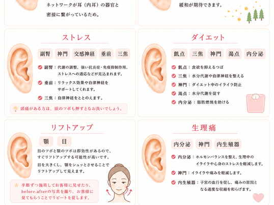 カラダから学ぶ耳ツボジュエリー講座 / 津田 優花