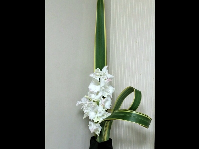 ワーム 壊す 洞察力のある 素敵 英訳 手当 ピック マトロン