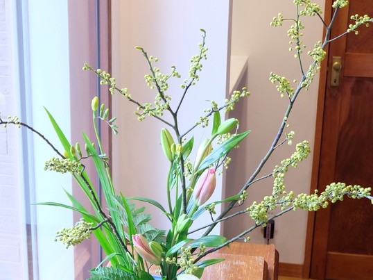 西宮 芦屋の 簡単生け花 暮らしの中に花を取り入れて 楽しく暮らしてみませんか By Nonoka ノリコ ストアカ