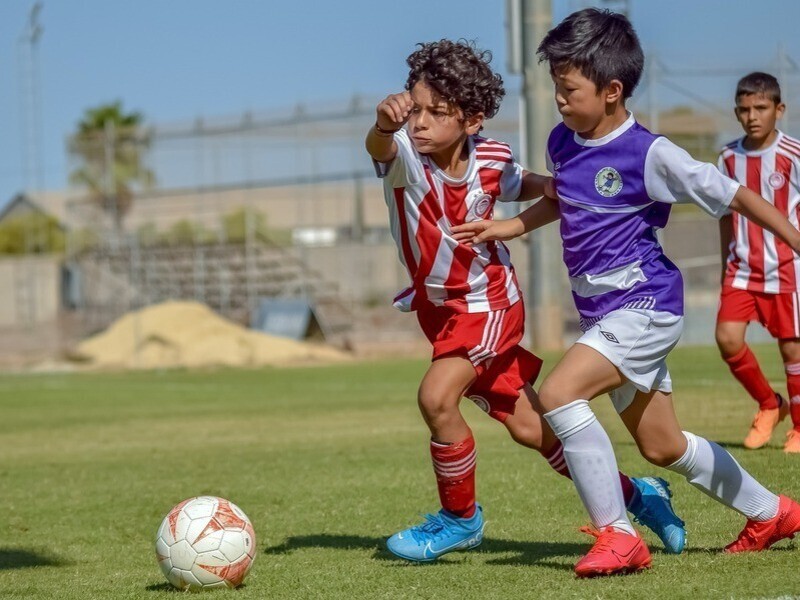 オンライン講座 スポーツの 秘めた才能 が開花する 一流選手に化ける身体をget By 川上 剛史 ストアカ