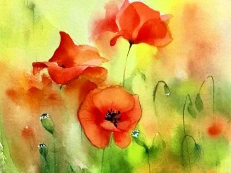 💖イラストレーターと描くセンスアップ水彩画💖描けるオンライン講座