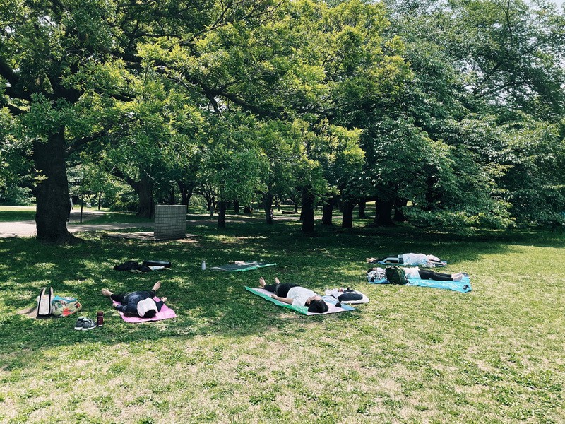 【パークヨガ】緑豊かな穏やかな公園でするカラダが整うヨガの画像