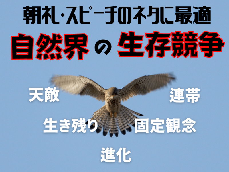 オンライン講座 スピーチ プレゼン 朝礼 講座を劇的に変える 最強たとえ話 創作法 By 講師のコーチ 安宅 仁 ストアカ