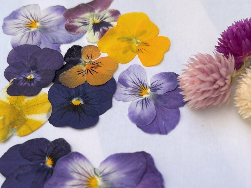 お花が好きな方必見 押し花とお花のアクセサリー作り セット内容 By Sugi Sana ストアカ お花が好きな方必見 押し花とお花のアクセサリー作り セット内容 By Sugi Sana ストアカ