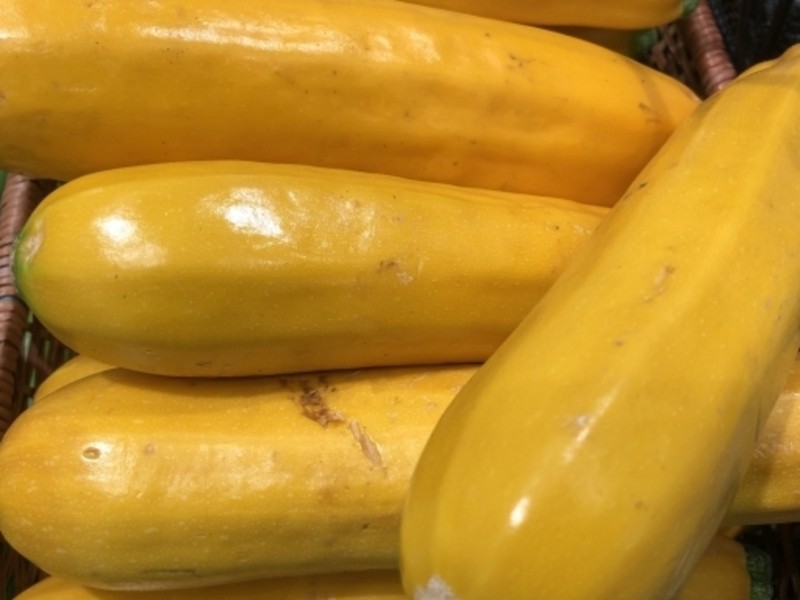 渋谷 恵比寿の 3月は夏野菜の種まきシーズン 3月の1日菜園教室 By 増山 博康 ストアカ