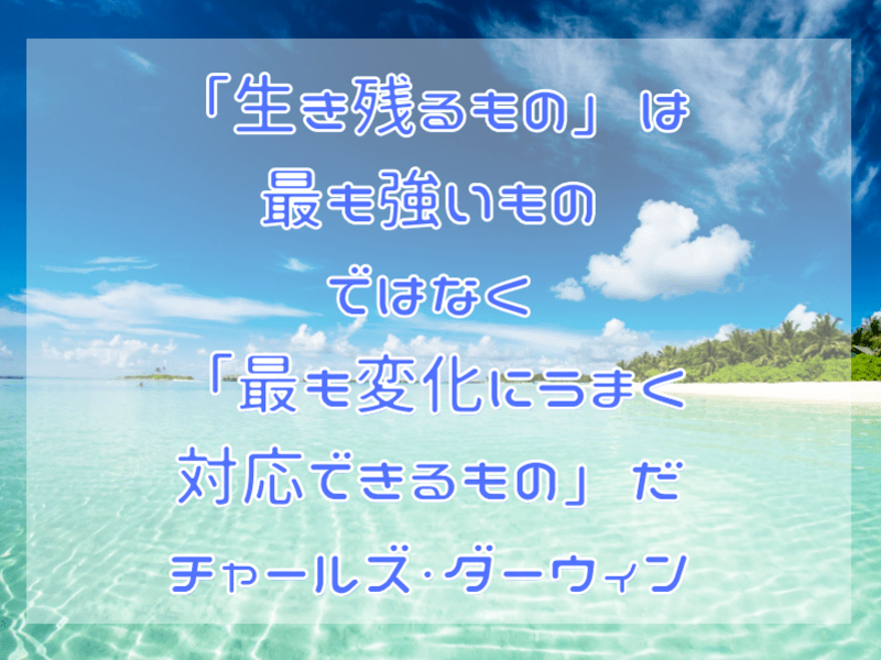 予約が絶えない人気講座を作って集客方法まで丸わかり講座の画像