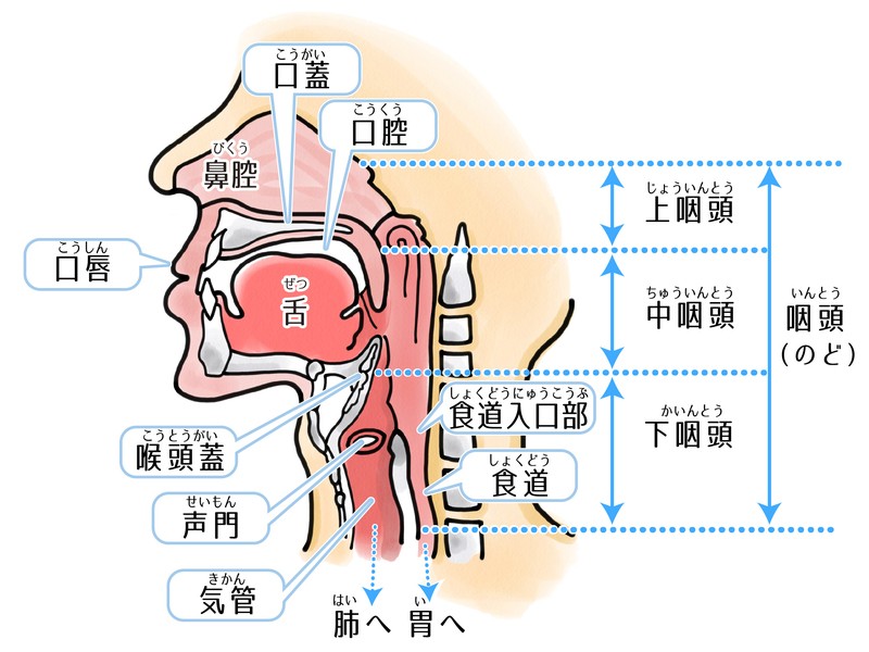 【セミナー講師・営業・接客】売れる声で成績をあげようの画像