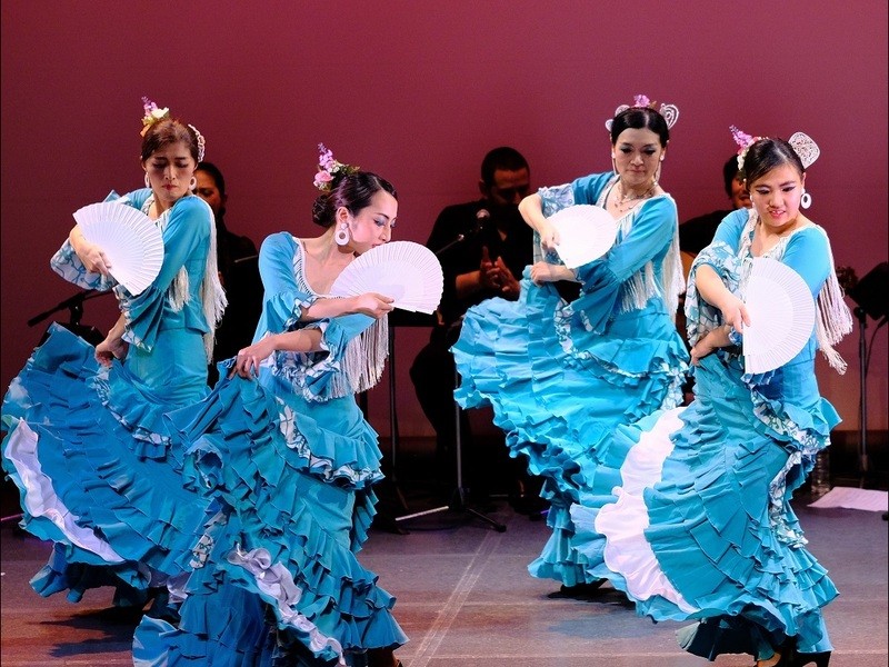 フラメンコ初級クラス☆土曜日 （JR総武線「小岩駅」徒歩3分） / 森山 みえ