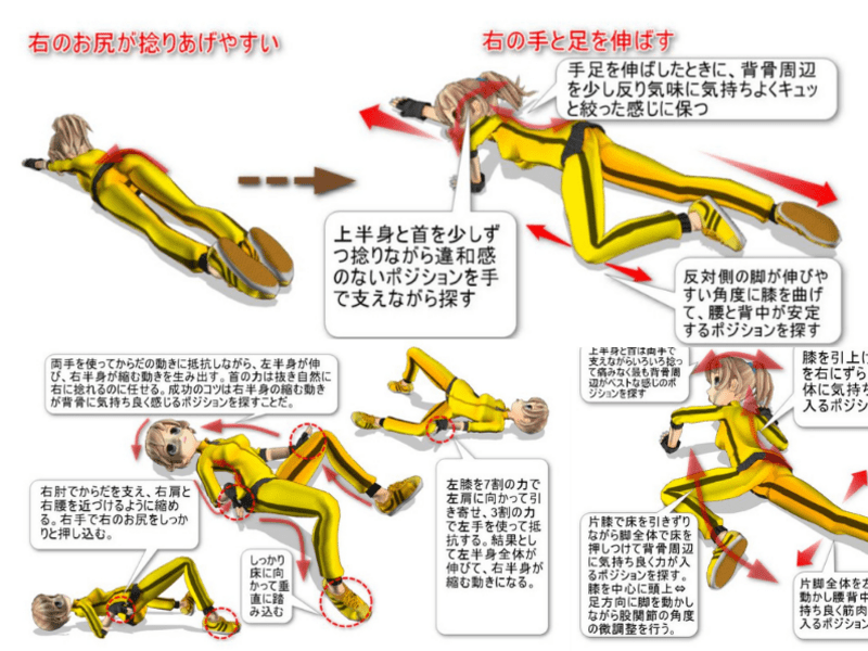 操体法入門 DVD 最高の操体法入門