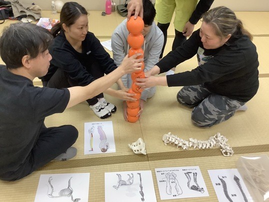 Yuumiボディーワーク【ボディワーク教室 第1部】の画像