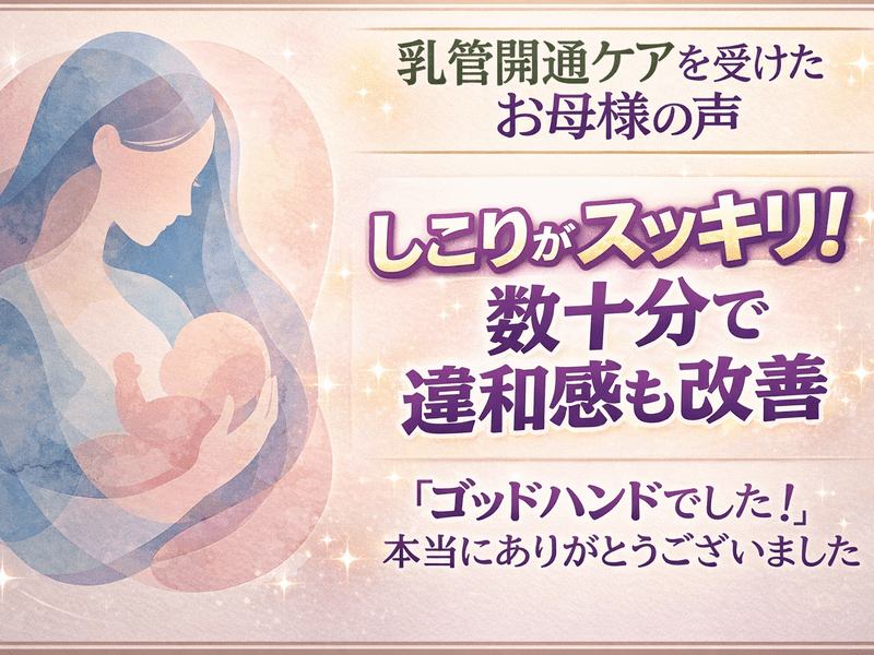 助産師学校受験対策 助産計画/保健指導案/妊娠期〜産褥期アセスメ 本