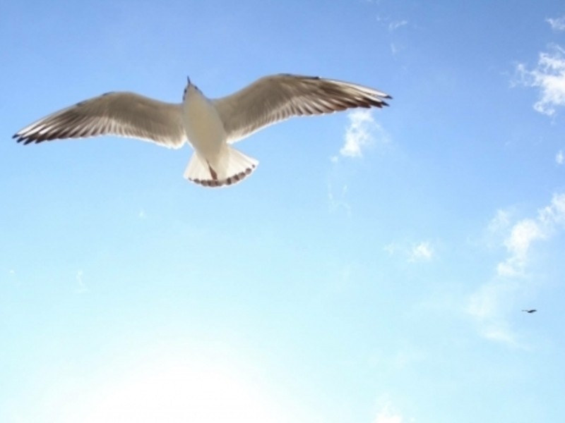 渋谷 恵比寿の 自然体の自分を取り戻す ナチュラルマインド講座 By 野木 友香里 ストアカ