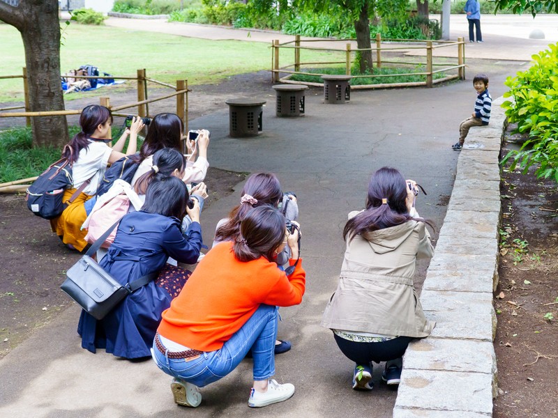 「子ども写真の撮り方」著者が教えるプロなみ写真が撮れるカメラ講座の画像